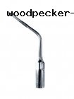 ED3-  Guilin Woodpecker Medical Instrument 