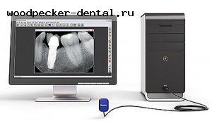  Gendex GXS-700 ()